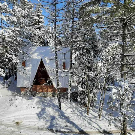 Appartement Almi Lux