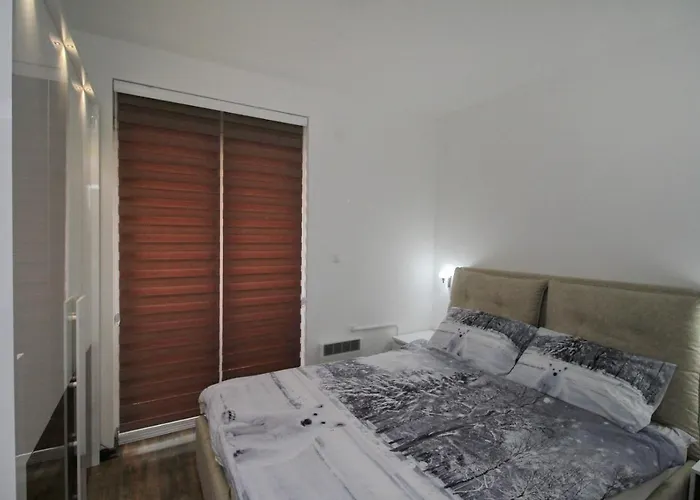 Almi Lux 즐라티보